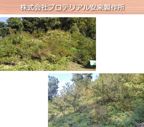 株式会社プロテリアル安来製作所